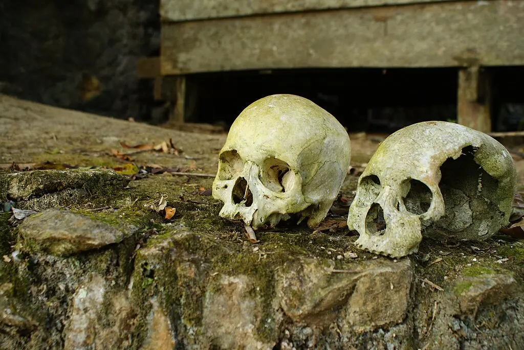 2 skulls sitting on a rock ,  22Kartika, CC BY-SA 3.0, via Wikimedia Commons